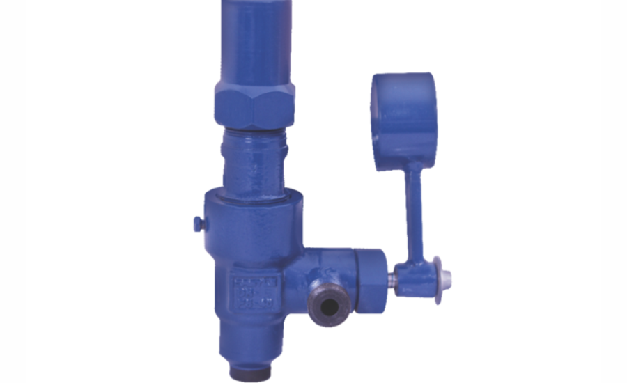 Fisher Gas Purge Valve VA13